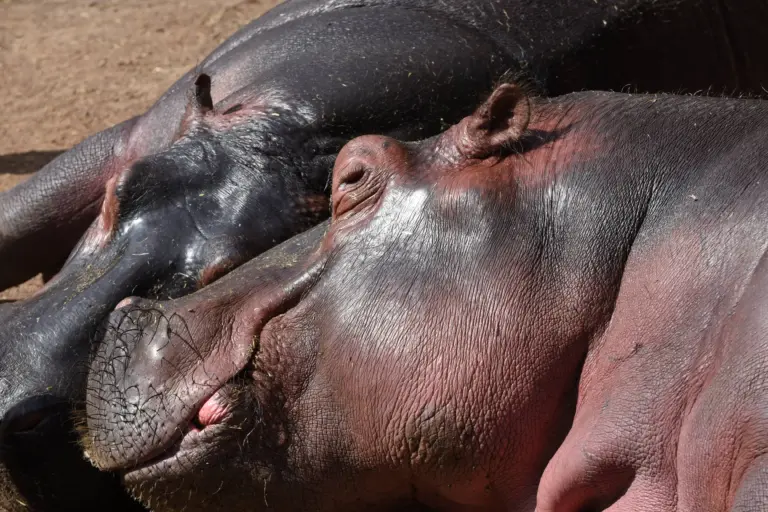 D7500212 768x512